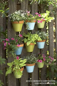 Colorful Outdoor Entertaining Ideas for Your Next Gathering - bhgrelife.com