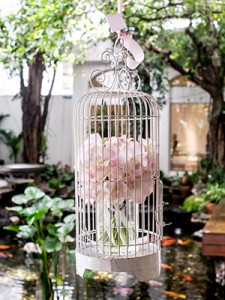 birdcage