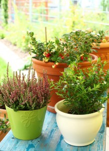 Outdoor Tips to Save Time this Summer - bhgrelife.com
