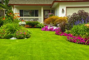 6 Tips for Water-Efficient Landscaping - bhgrelife.com