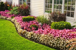 6 Tips for Water-Efficient Landscaping - bhgrelife.com