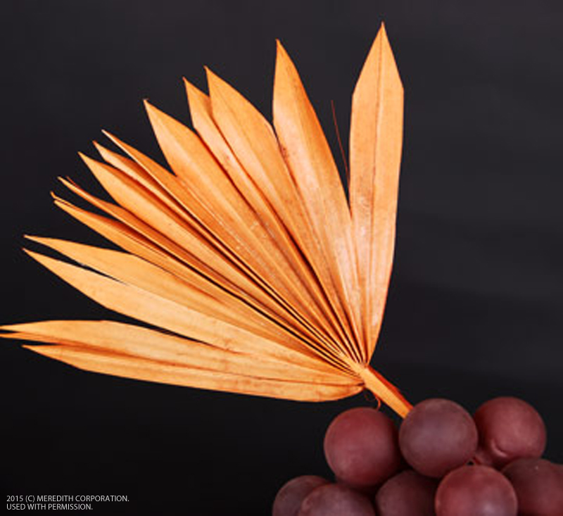Thanksgiving Table Decorating Tips - bhgrelife.com