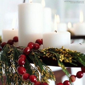 Creative Christmas Decorating With Cranberries Page 10 Of 13