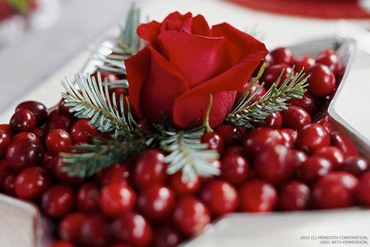 Creative Christmas Decorating With Cranberries Page 9 Of 13