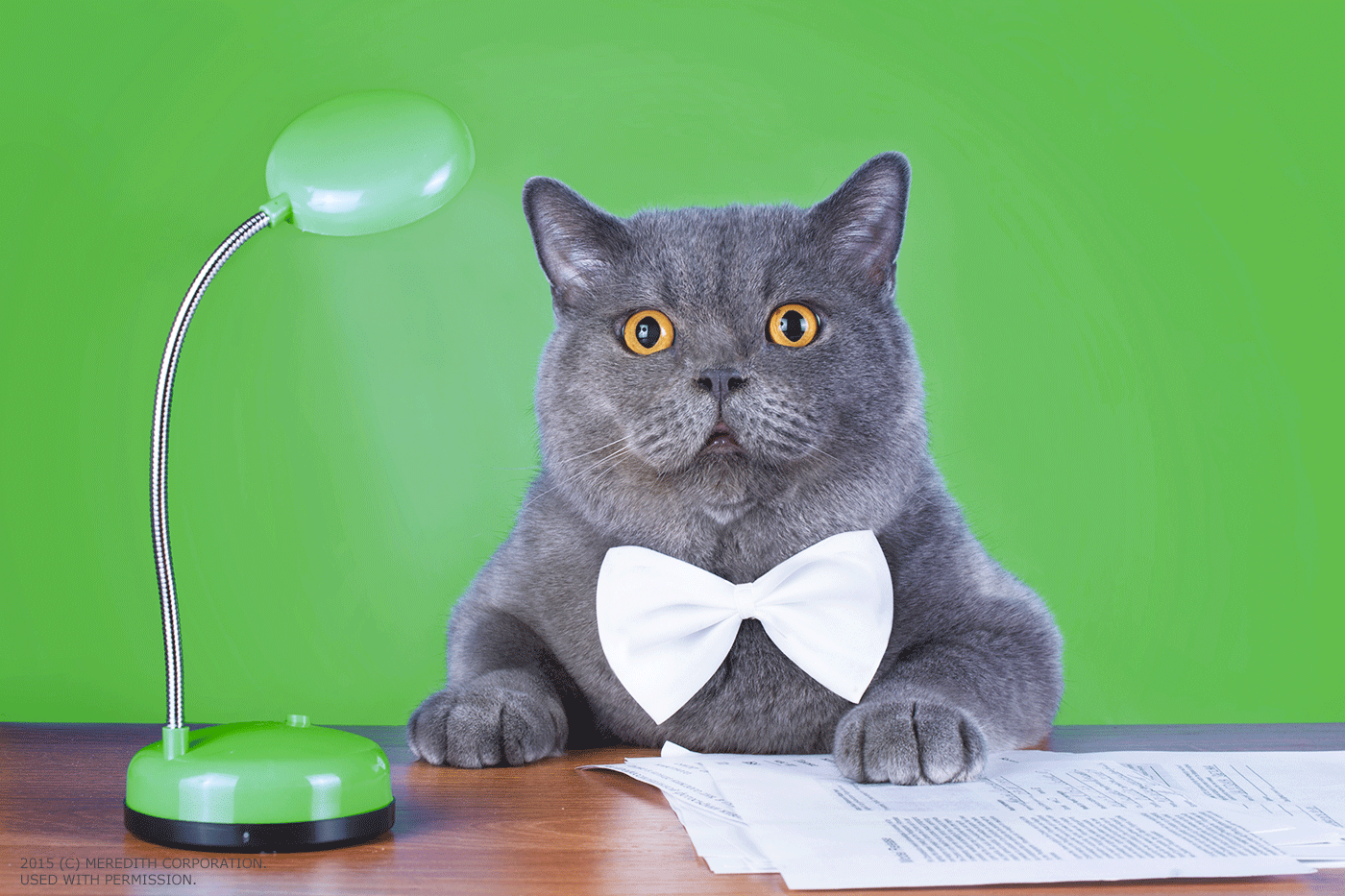5 Things to Look for During a Listing Presentation - bhgrelife.com