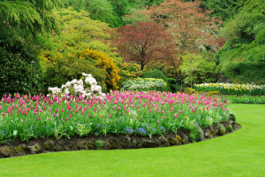 10 Tips to Improve Your Landscaping in the Spring - bhgrelife.com