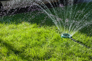 10 Tips to Improve Your Landscaping in the Spring - bhgrelife.com