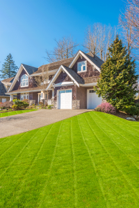 4 Tips for Creating a Luscious Lawn - bhgrelife.com