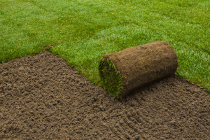 4 Tips for Creating a Luscious Lawn - bhgrelife.com