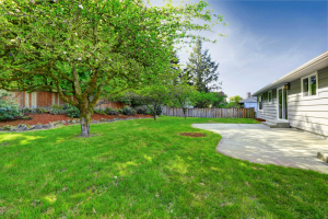 4 Tips for Creating a Luscious Lawn - bhgrelife.com