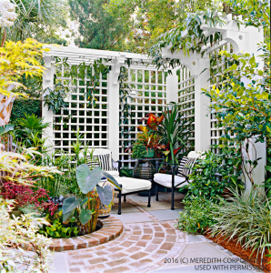 Create Backyard Privacy with a Trellis - bhgrelife.com Create Backyard Privacy with a Trellis - bhgrelife.com