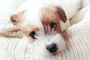 5 Etiquette Rules Every Seller Should Know - bhgrelife.com