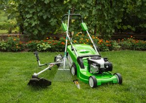 Bhgrelife.com - 4 Important Purchases to Make for Your First Home