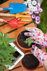Bhgrelife.com - 4 Important Purchases to Make for Your First Home