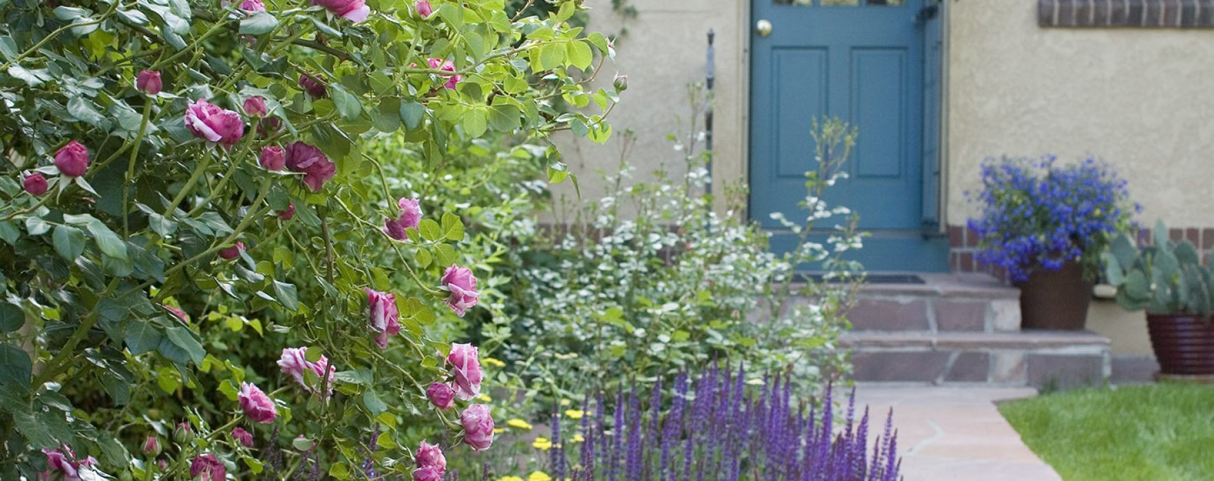 Create an Entryway Garden That Wows | Better Homes and Gardens Real