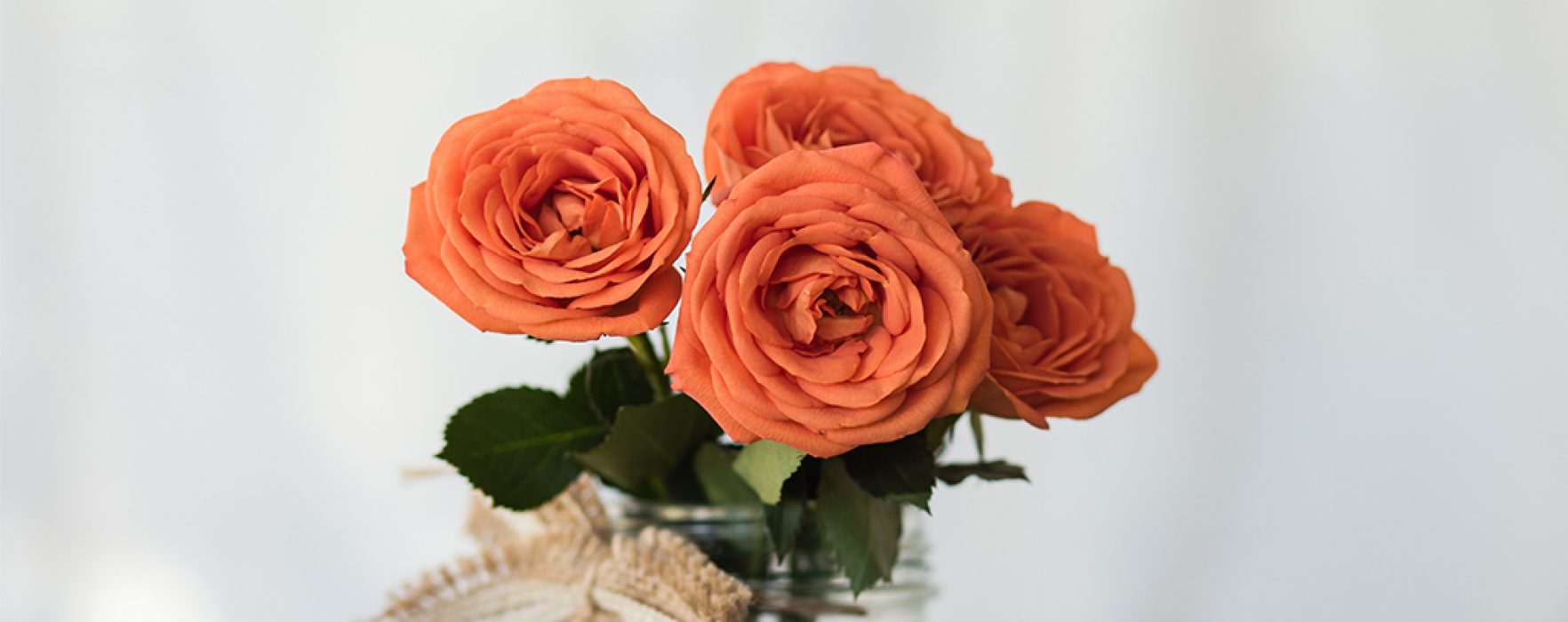 Refreshing Way to Spruce Up Your Home with These DIY Ideas