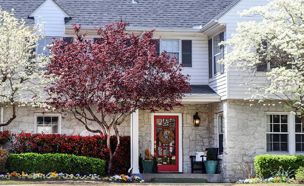 modern home with curb appeal