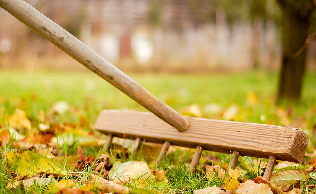 Fall Lawn Prep with Outdoor Pro Carson Arthur