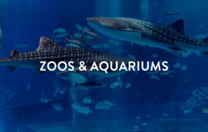 Zoos & Aquariums BHGRE Summer at Home