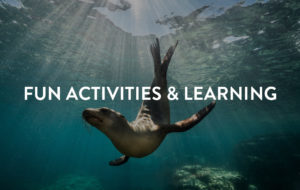 Fun Activities & Learning BHGRE Summer at Home