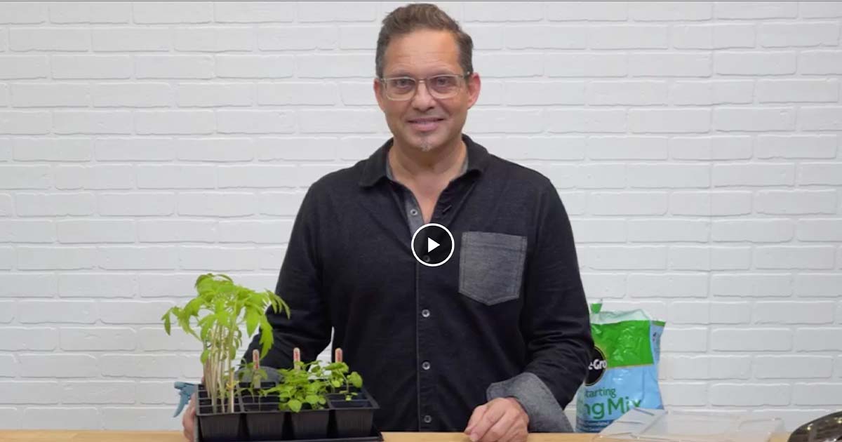 Max Wilker Seed Starting