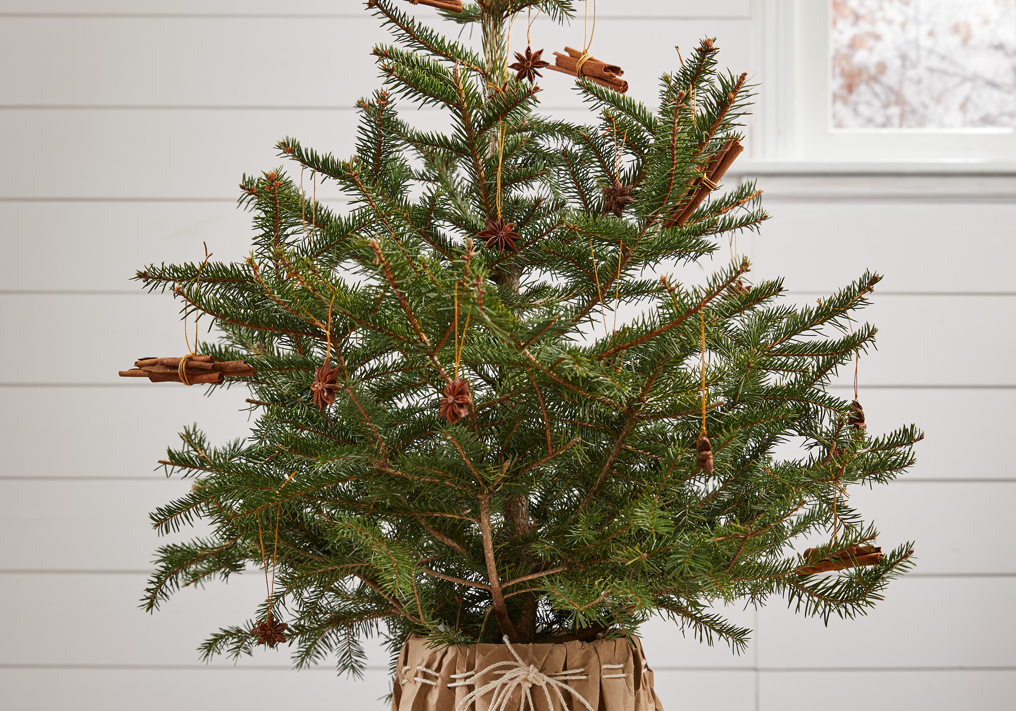 small christmas tree