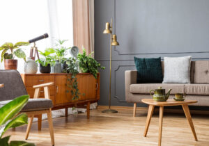 Choosing Green Furniture for Your Home